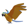 Birds Category - Quiz Wiz - Arcana Futura